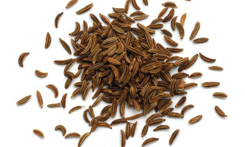 كراويه بلدى مغربله