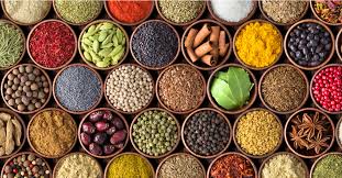 حياة من الطبيعة