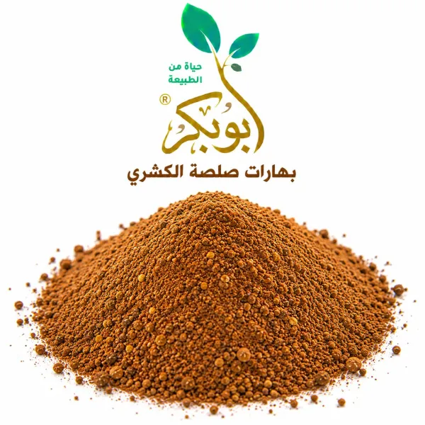 ابو بكر صلصه كشرى